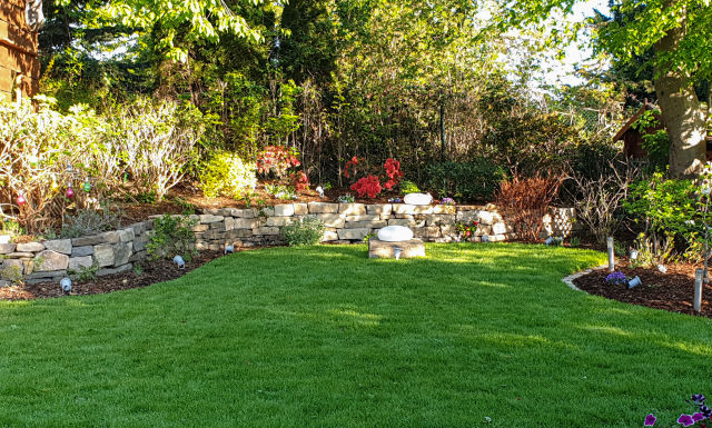 Gartenpflege / Pflanzarbeiten